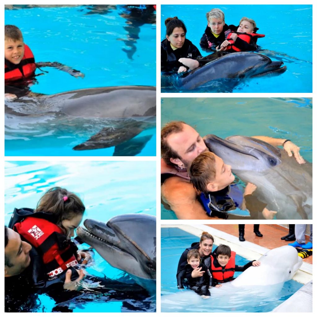 Delfin-Therapie